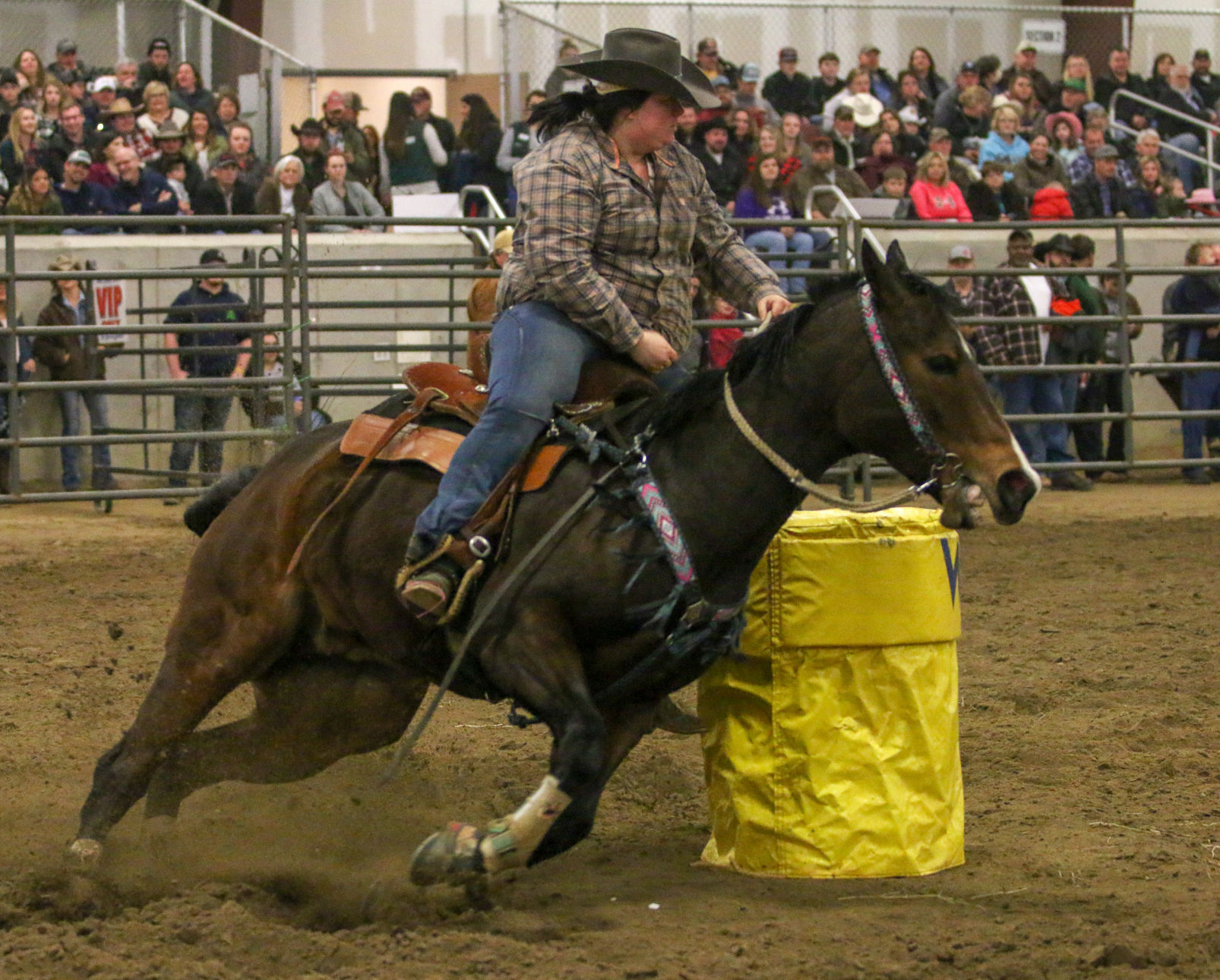 BullBash-63.JPG